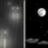 Saturday Night: Slight Chance Light Rain then Mostly Clear
