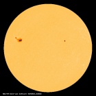 SDO/HMI Continuum Image of the Sun